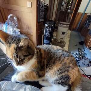 Meet your Posher, Al